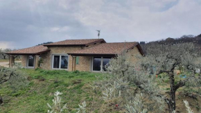 Tenuta Santa Chiara, Cannara